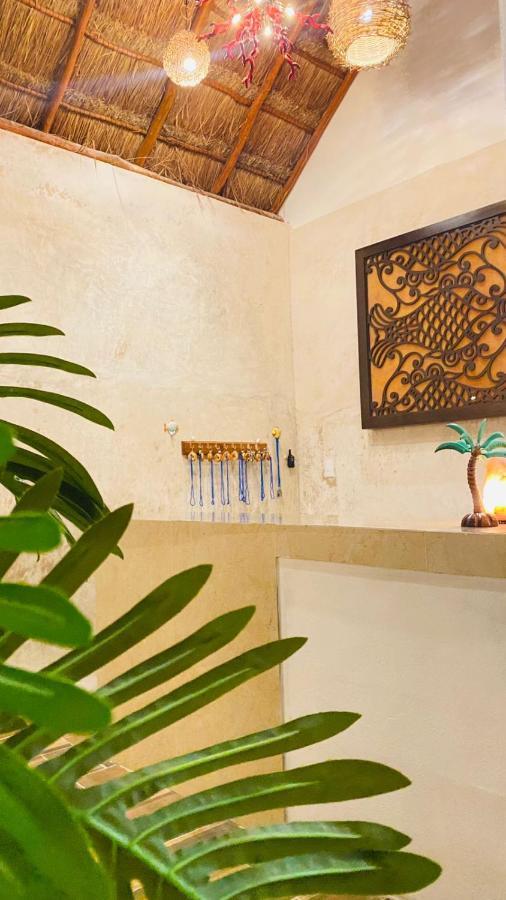 Casa Delfines Rio Lagartos Hotel Екстериор снимка